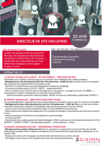 CV d'un directeur de site industriel