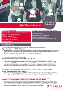 CV d'un directeur de site financier