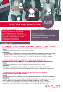 CV d'un directeur marketing digital