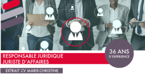 Illustration stylisée pour introduire le CV de Marie-Christine - 36 ans d'experience